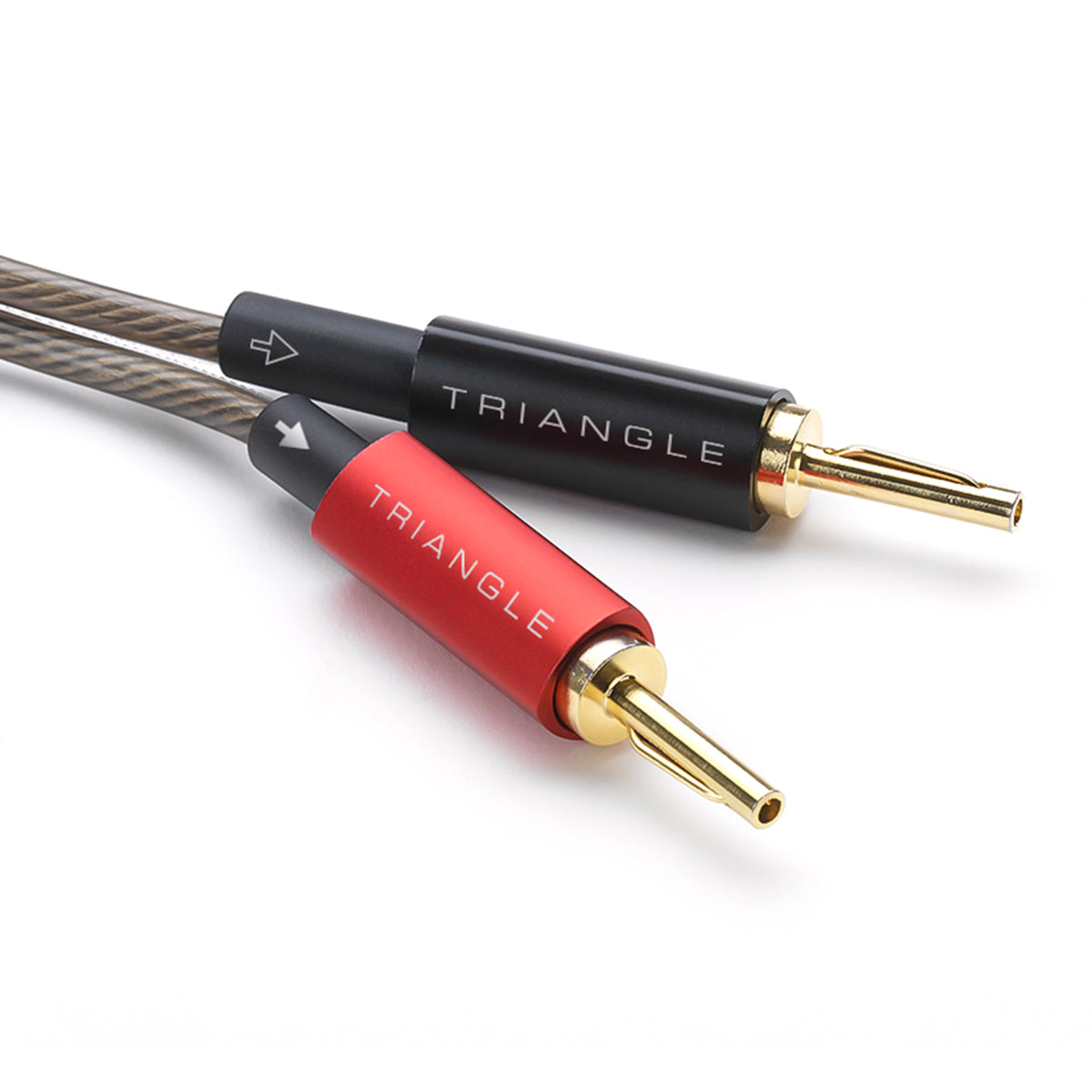 Fiches Bananes - BP450